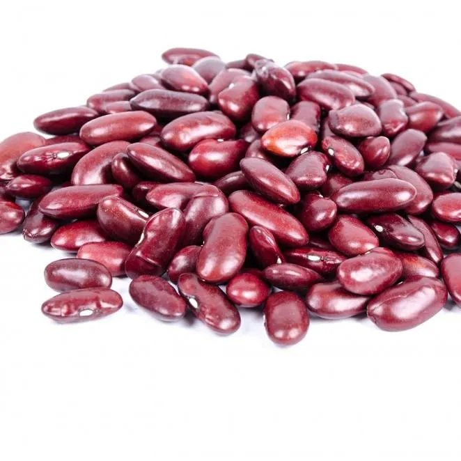 Natural White kidney Beans Seeds