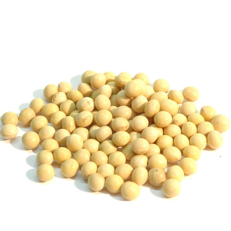 NON-GMO Soya Beans/certified organic soybeans