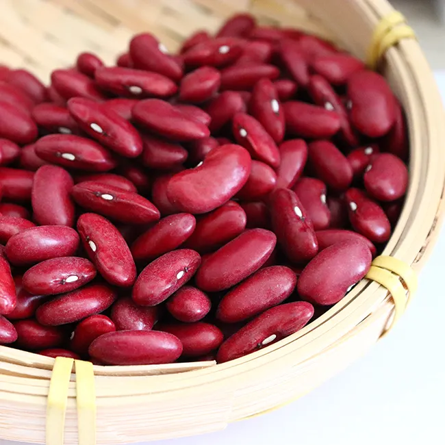 Natural White kidney Beans Seeds