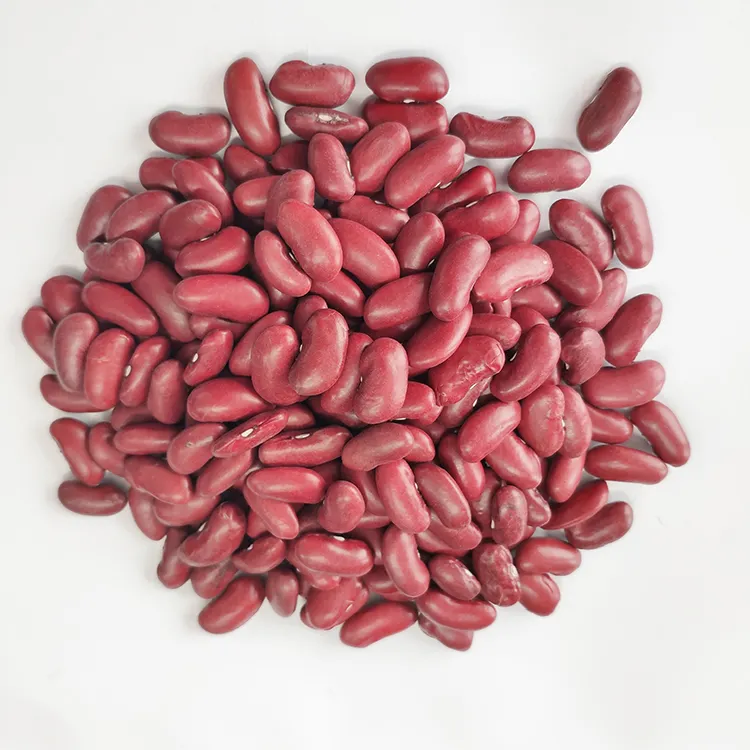 Natural White kidney Beans Seeds