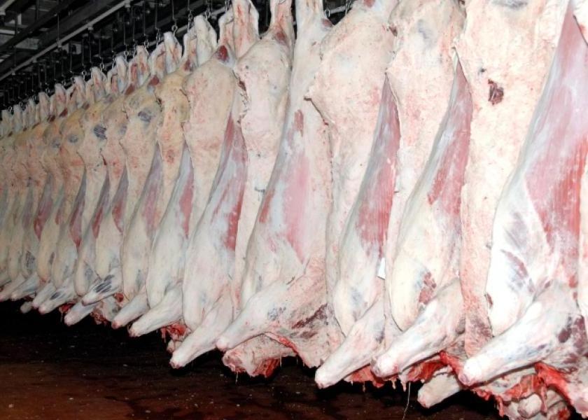 Top Quality Best Price Frozen / Fresh Sheep Lamb Meat Leg Goat Meat Available In Bulk price ship from USA