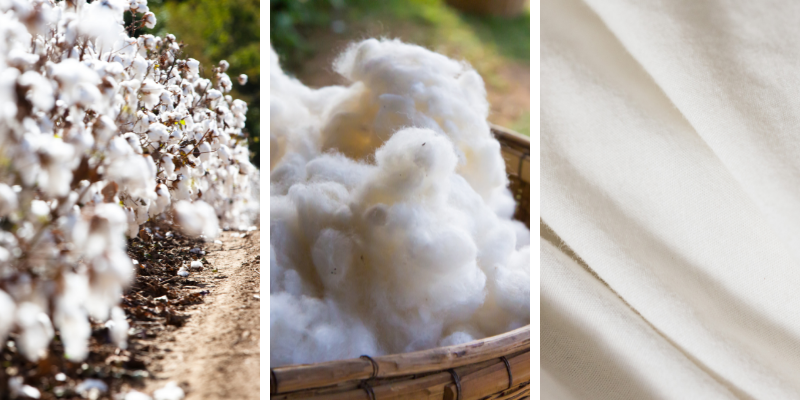 Shankar 6 /S6 Variety Highest Grade and Highest Strength Cotton Bales from Top Listed USA Origin Exporter