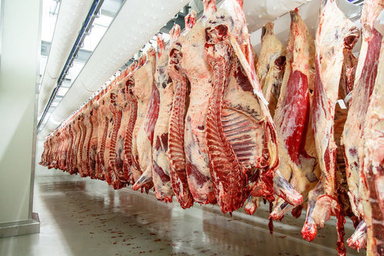 Top Quality Best Price Frozen / Fresh Sheep Lamb Meat Leg Goat Meat Available In Bulk price ship from USA