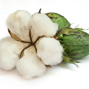 Shankar 6 /S6 Variety Highest Grade and Highest Strength Cotton Bales from Top Listed USA Origin Exporter