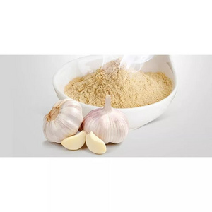 Best Selling 100% Organic Dehydrated Garlic Chopped Food Grade For Cocking Uses Manufacture In Brazil Lowest Prices