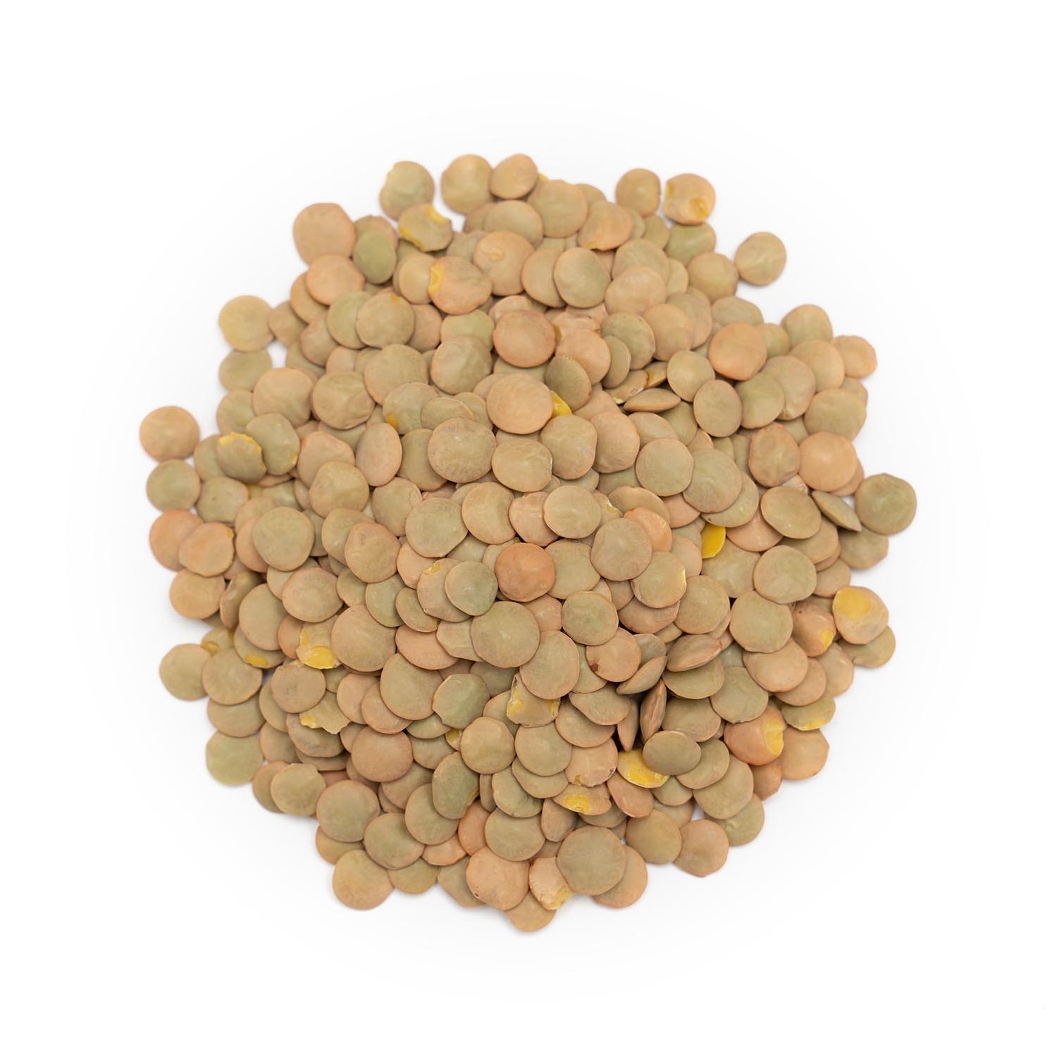 Best Selling Factory Supply Agricultural Product Wholesale Bulk Exporter Red Lentil Price From Brazil