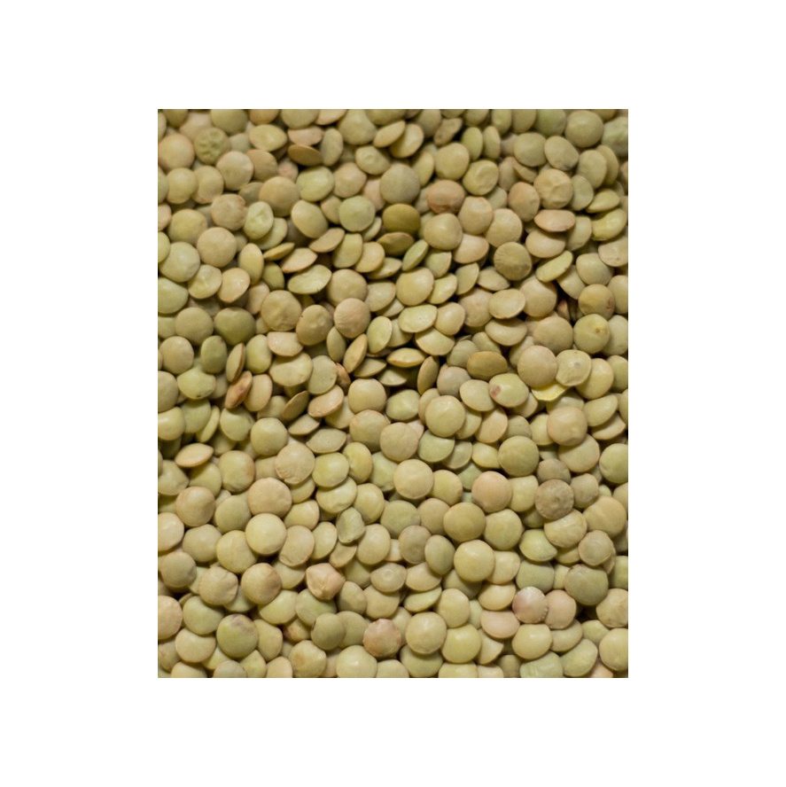 Best Selling Factory Supply Agricultural Product Wholesale Bulk Exporter Red Lentil Price From Brazil