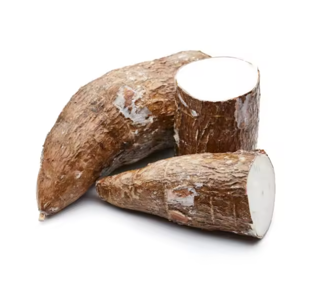 Wholesale Cassava and Cassava seeds at cheap prices from united states Buy Premium Quality Frozen fresh Cassava for Animal feed