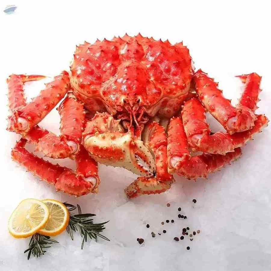 Best Quality Fresh Live Red King Crab King Crab Alaskan King Crab/Buy King Crab/Hot sales King Crab Legs