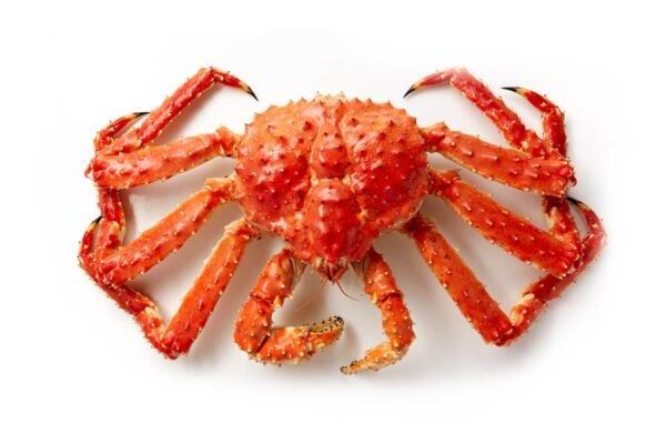 Fresh spanner crab Frozen Wrench Whole Crab Wholesale Selling Natural High Quality Seafood Sea Crab Factory Made Premium Quality