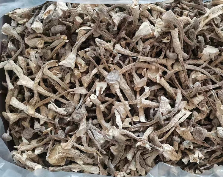 Low Price High Quality Natural Dried Shiitake mushrooms Organic mushrooms From Vietnam 100% Organic Good Price