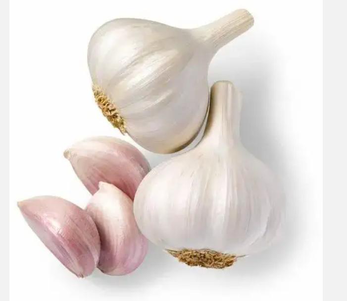 Fresh Harvest White Garlic For Sale at Wholesale Price