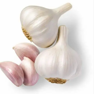 Fresh Harvest White Garlic For Sale at Wholesale Price