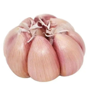 Fresh solo garlic from yunnan single garlic clove wholesale price bulk packing