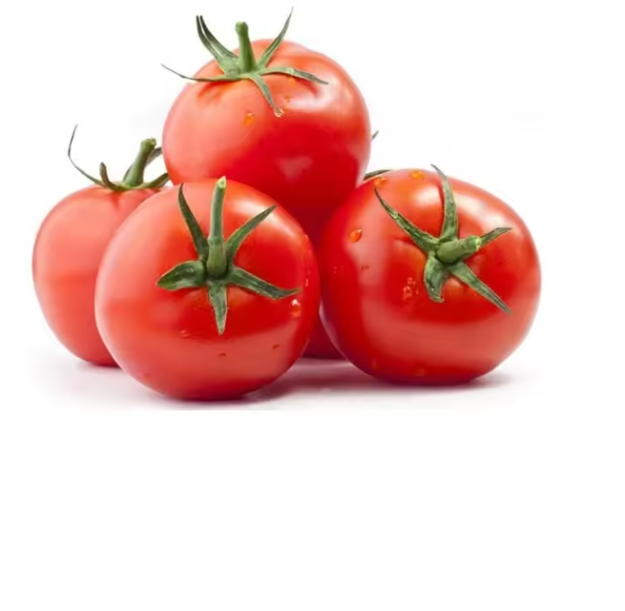 Fresh tomatoes Fast Shipping high Quality tomato from France Fresh Plum and Cherry Red Tomatoes