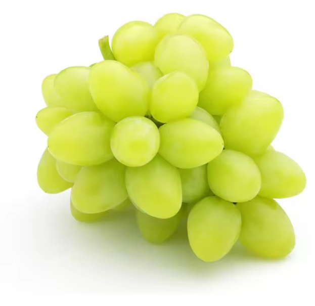 New Season Superb Delicious Fresh Green Grapes Natural Seedless Grapes At Wholesale Price