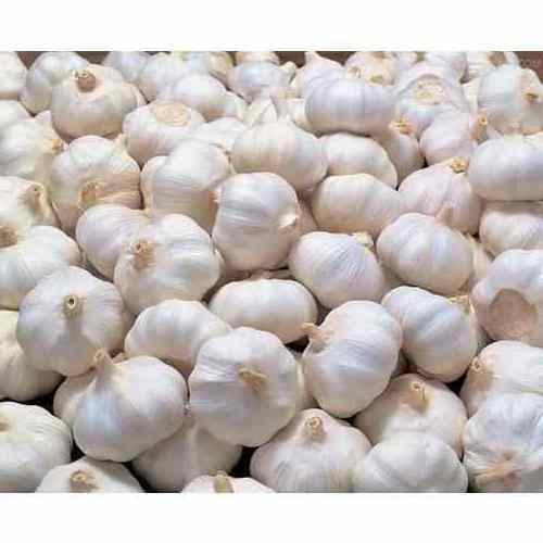 Supplier Fresh Peeled Garlic Cloves 5 lb Garlic Peeled Vacuum Packed USA Fresh Peeled Garlic