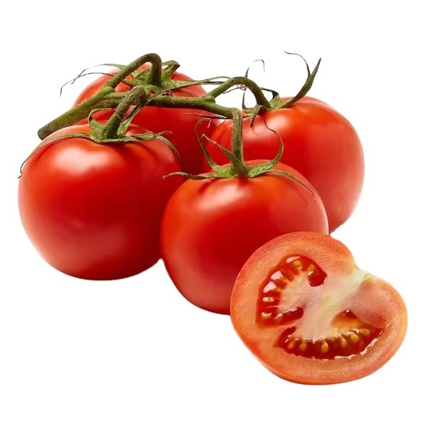 Fresh tomatoes Fast Shipping high Quality tomato from France Fresh Plum and Cherry Red Tomatoes