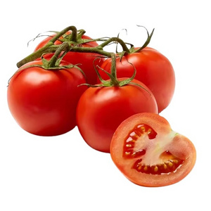 Fresh tomatoes Fast Shipping high Quality tomato from France Fresh Plum and Cherry Red Tomatoes