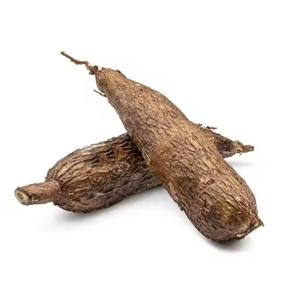 Wholesale Cassava and Cassava seeds at cheap prices from united states Buy Premium Quality Frozen fresh Cassava for Animal feed