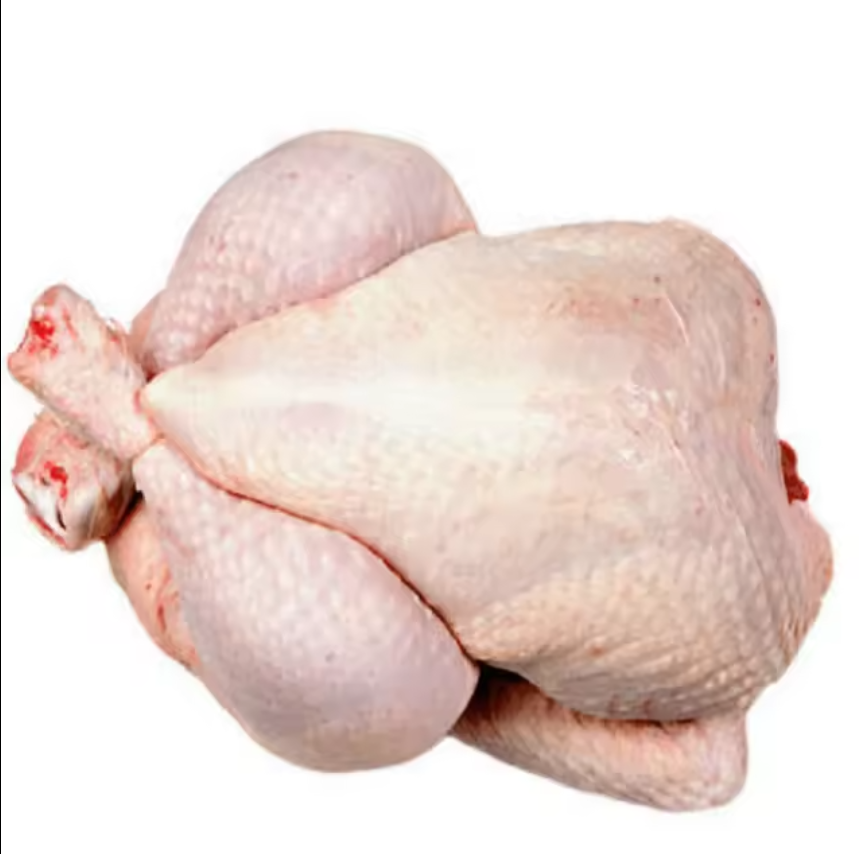 Top High Quality Frozen Duck Meat For Sales