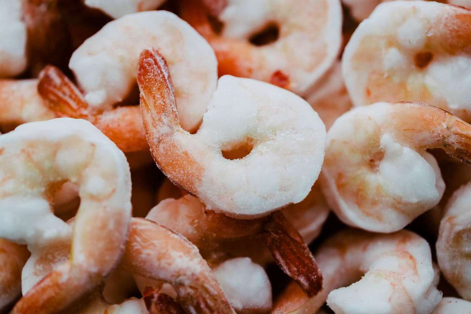 Best Grade Fresh Frozen Vannamei White Shrimp/Fresh Frozen Prawn For Sale at Best Price  BlackTiger Shrimp