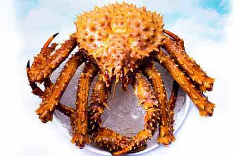 Best Quality Fresh Live Red King Crab King Crab Alaskan King Crab/Buy King Crab/Hot sales King Crab Legs