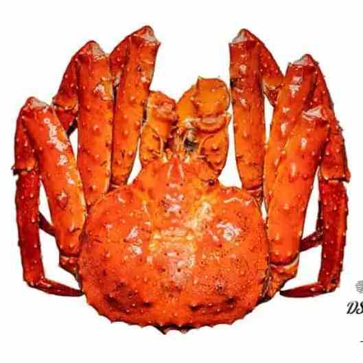 Best Quality Fresh Live Red King Crab King Crab Alaskan King Crab/Buy King Crab/Hot sales King Crab Legs