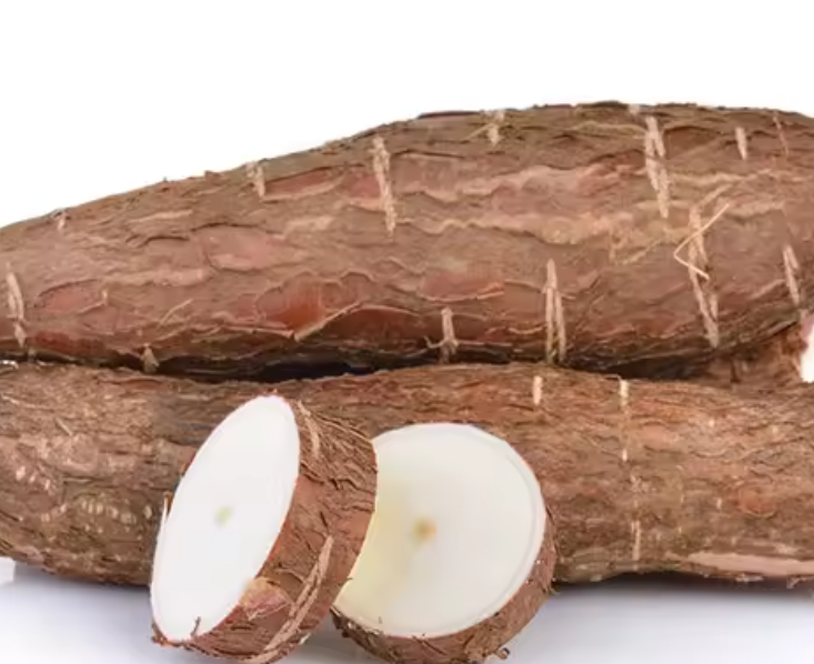 Wholesale Cassava and Cassava seeds at cheap prices from united states Buy Premium Quality Frozen fresh Cassava for Animal feed