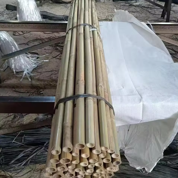 Agriculture farm bamboo canes tonkin bamboo poles for garden/roof/house/tree