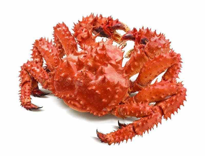 Fresh spanner crab Frozen Wrench Whole Crab Wholesale Selling Natural High Quality Seafood Sea Crab Factory Made Premium Quality