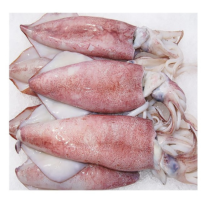 IQF High Quality Frozen Gigas Squid Tube U3 U4 U5 Fish Wholesale Price Fresh Quality Squid 50-150g Frozen France Ocean Squid