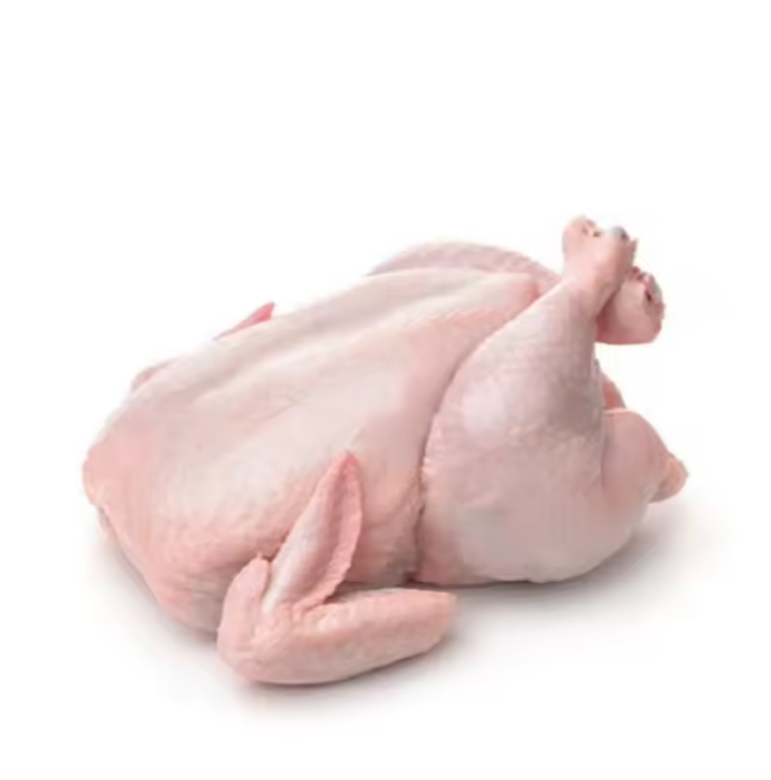 Top High Quality Frozen Duck Meat For Sales