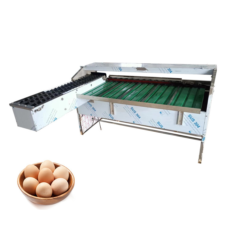 Hot Egg Sorting Machine Duck Egg Sorter Price automatic egg sorting machine and packer