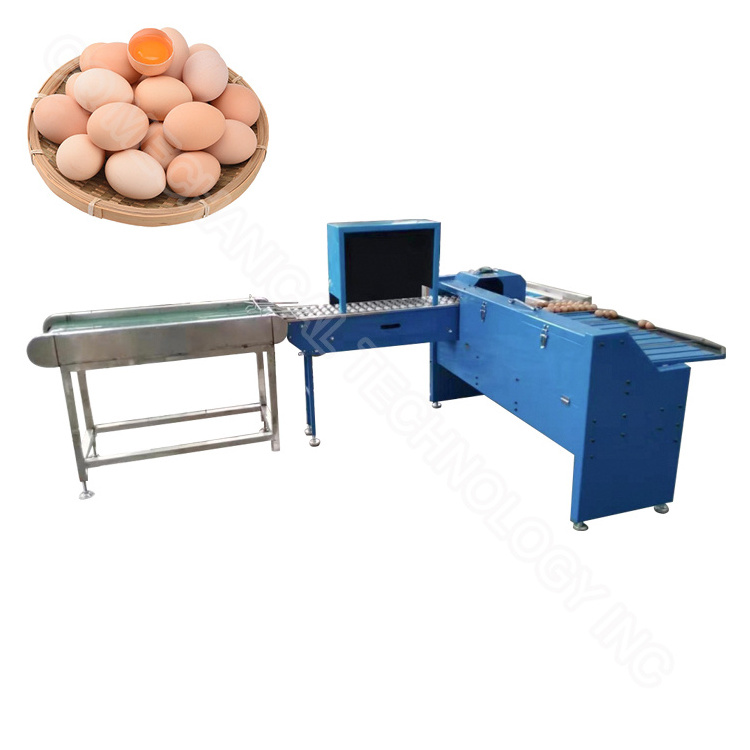 Eggs grading machine fasting machine sorting machine chicken egg egg sorter and packer