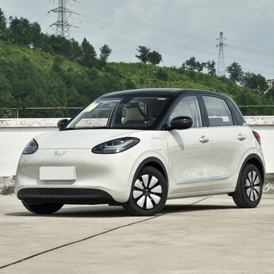 New Car 2024 Wuling Binguo EV 5 Door 4 Seat Wiling Bingo 2023 Explosive Models Cost-effective Mini Electric Car