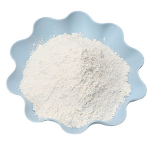 Factory Price Offer Caco3 Powder Best Quality for Buyer Calcium Carbonate Powder Crushed by Modern Vietnam Max Bag White CAS Pvc