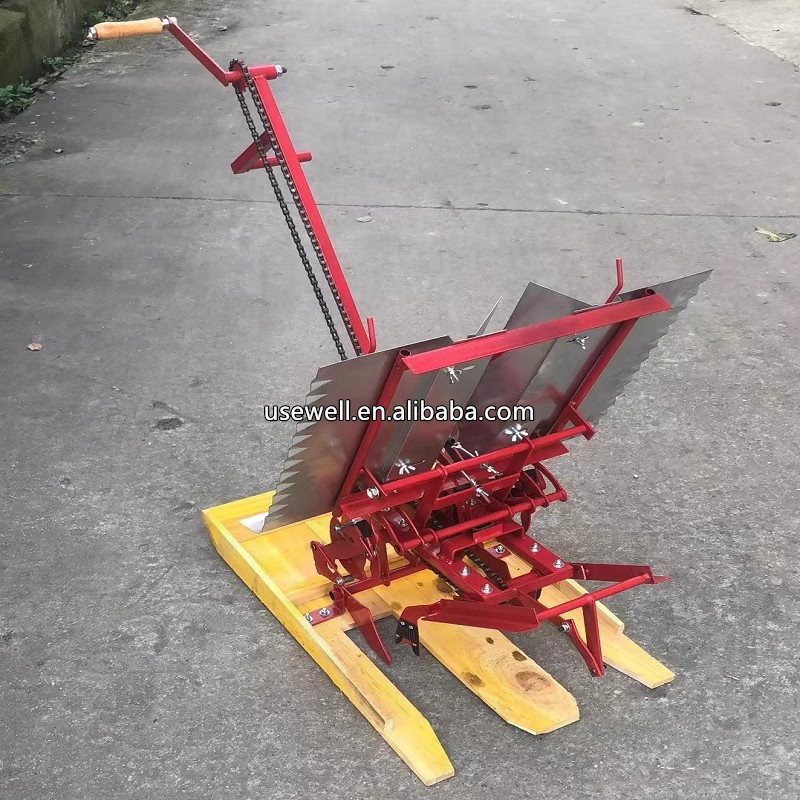 Small Mini Manual Walking Type Two Row Paddy Sow Seed Planter Transplanter Rice Planting Seeding Machine