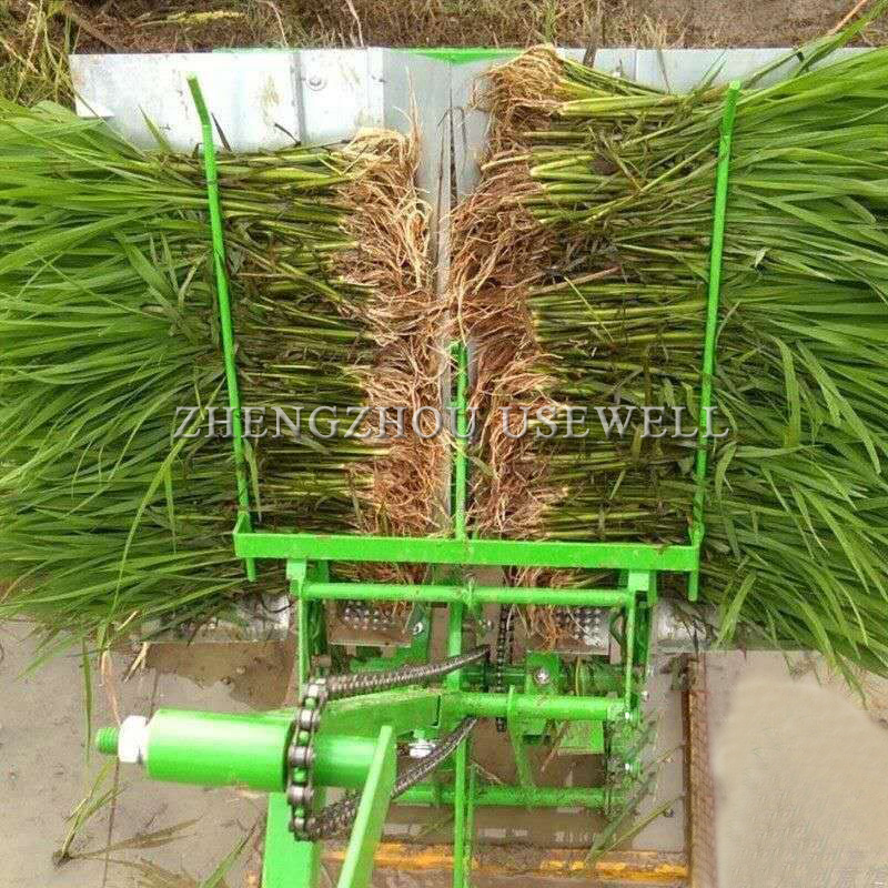 Small Mini Manual Walking Type Two Row Paddy Sow Seed Planter Transplanter Rice Planting Seeding Machine