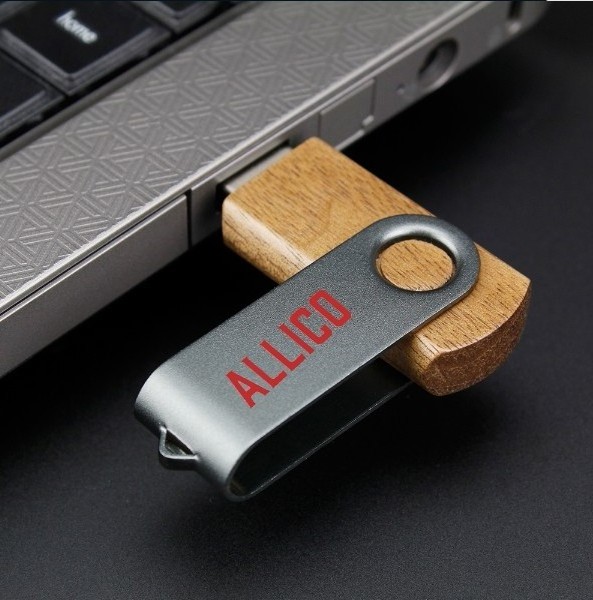 Pendrive USB Flash Drive Free Samples Disk 1GB 2GB 4GB 8GB 16GB 32GB 64GB 128GB USB 2.0 3.0 Memory Disk Wooden USB Stick