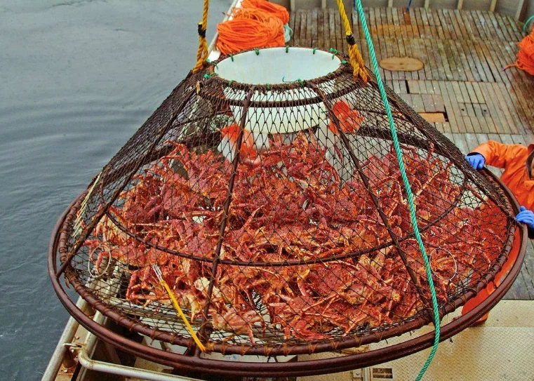 Crawfish Crab Traps for Blue Crabs Crayfish Crawdad Trap Minnow Bait Trap Fish Nets Crab Pots for Chile Market