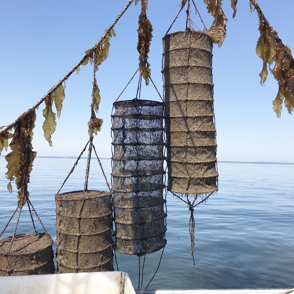 Aquaculture tools and equipment fish farming breeding cages oyster scallop lantern net