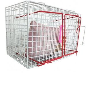 USMILEPET Wholesale Cat Bath Cage Injection Sustainable Cat Boarding Cages anti-scratch bite Cat Restriction Cage for Pet Clinic