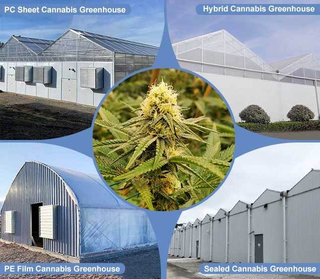 Brand New Automated High Tunnel Blackout Light Deprivation Hemp Mushroom Growing Customized Greenhouse