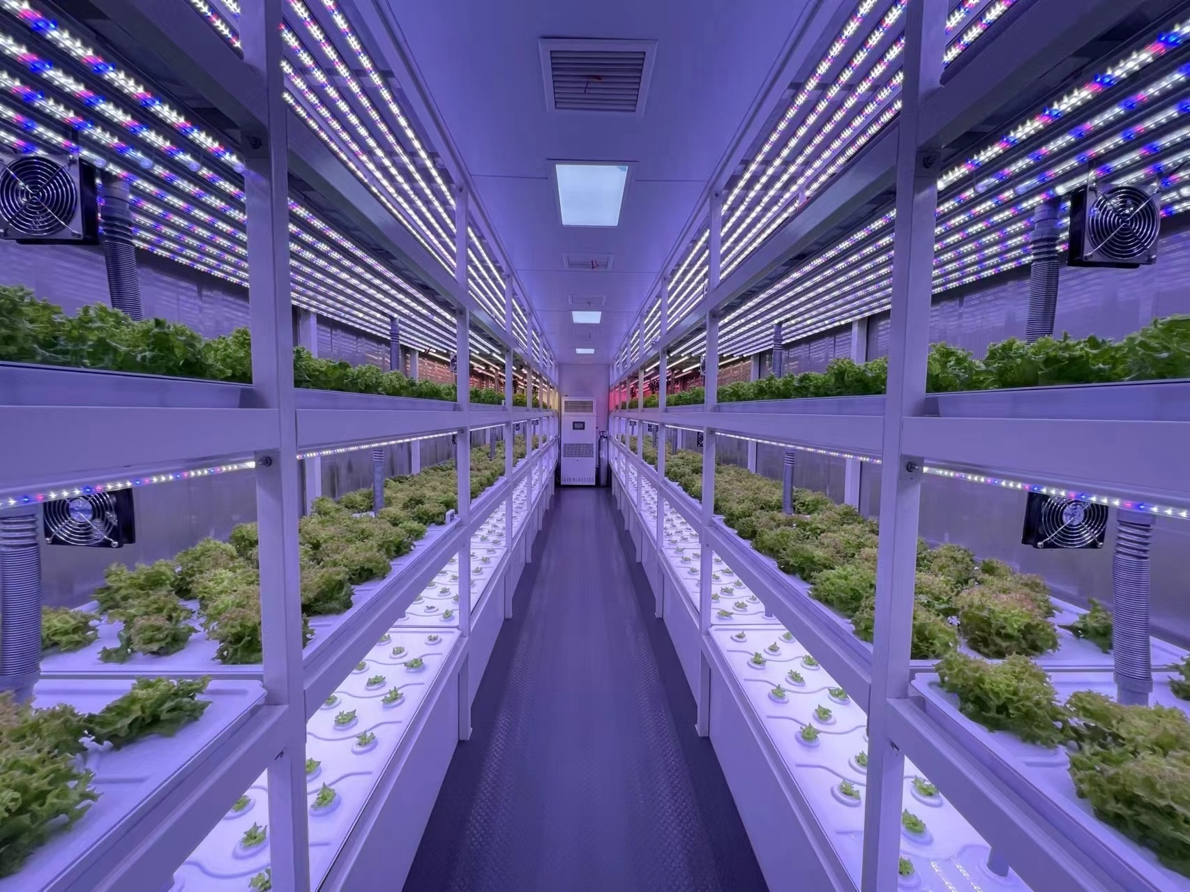 shipping container farm with hydroponic vertical system for vegetable growing container