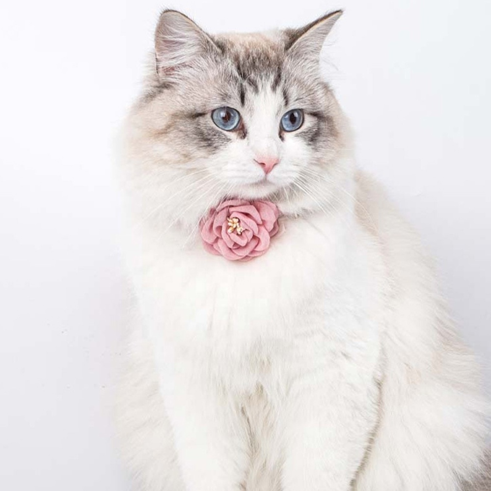 Pet Collar Solid Color Cat Necklace With Flower Adjustable Buckle Cotton Collar Dog Pet Outfits Decor Small Dogs Puppy Supplies