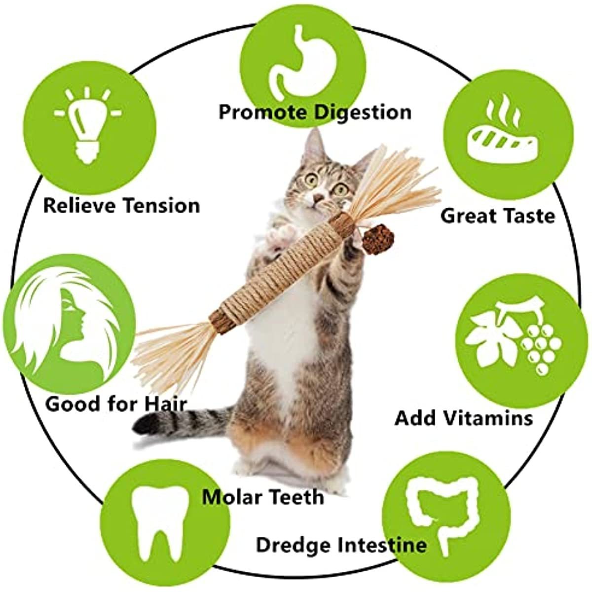 Cat Toys Silvervine Chew Stick Kitten Treat Catnip Toy Kitty Natural Stuff with Catnip for Cleaning Teeth Indoor Dental