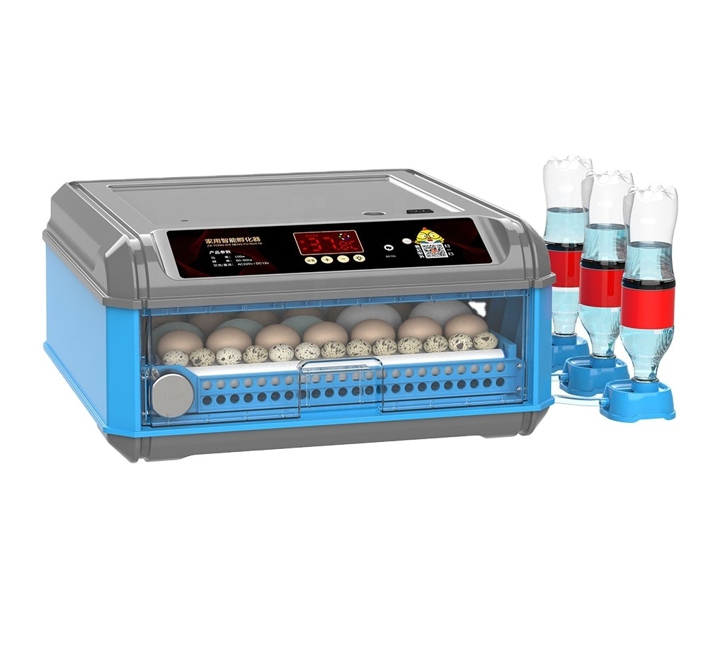 Dual Power Quail Egg Incubator Mini36 Eggs Incubator For Sale