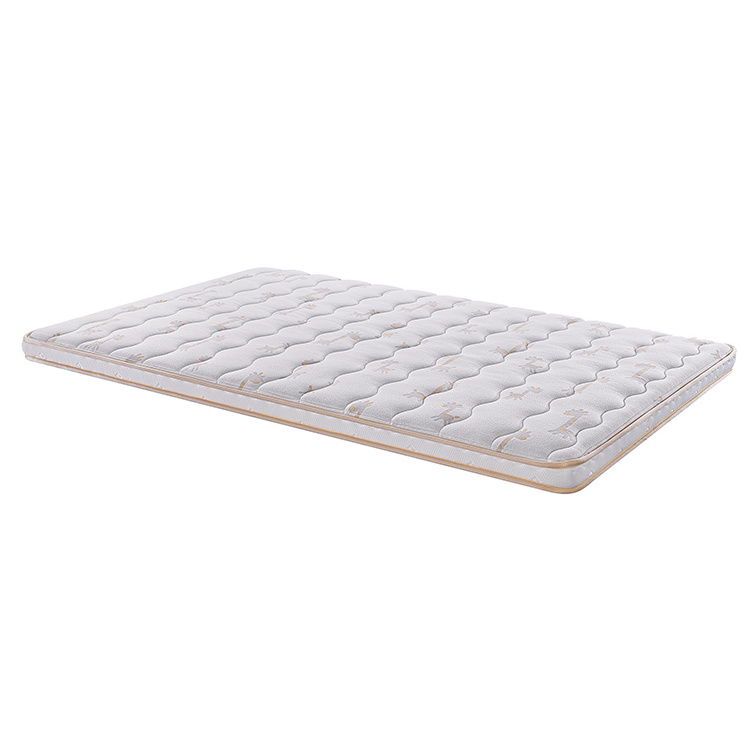 Dormitory Single Double Floor Mat Foam Vacuum Packed Housing Single Bed Mattresses Dropshipping Super Tatami Student King Size