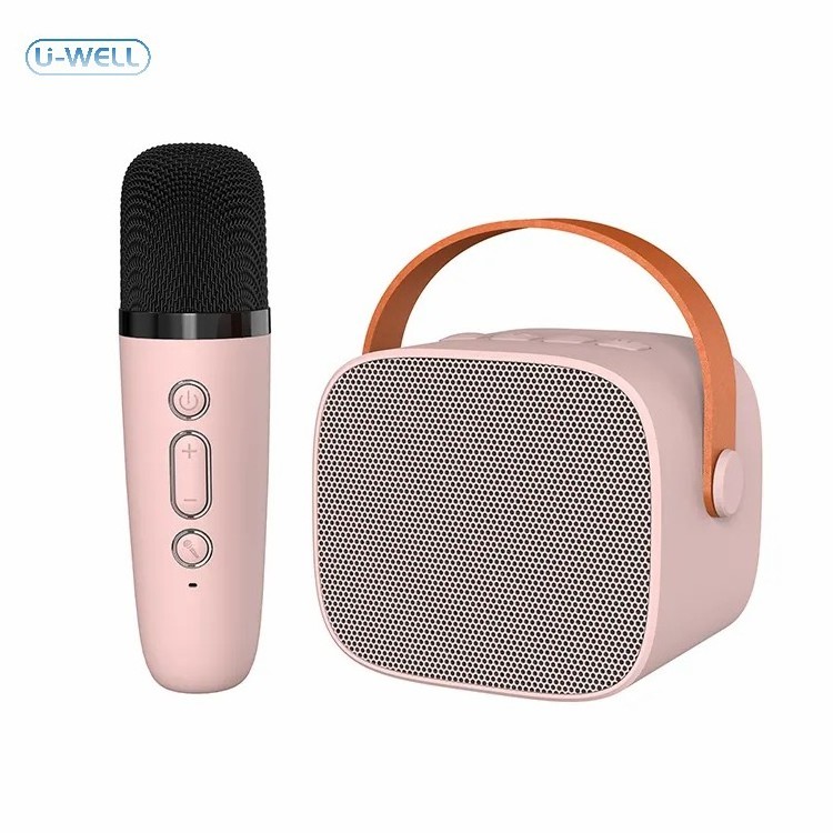 Portable Mini Speakers Subwoofer with Wireless Microphones Home Party Speaker